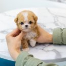 명곡동503 이미지