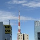 주식회사 쿨쿨 | ❤️예비쀼의 도쿄여행❤️ 2일차 이야기-마츠야 다이몬점, 디즈니랜드