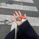 피리부는아저씨 | 🇨🇿 [브르노교환학생]1. 봄동비빔밥에 된찌추가