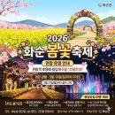 2026 화순 봄꽃 축제 기본 정보 주차 가수 라인업 밤에 더 예쁜 야행 후기