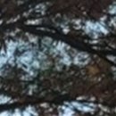 부여미소치과의원 이미지