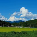 천지여인숙 이미지