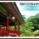 키즈 태권도 현대체육관 이미지