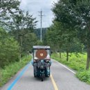 울림기능 pt 이미지