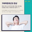 연세바른정형외과의원 이미지