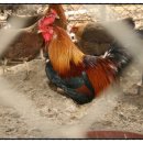 현인농원 이미지