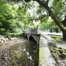 월드펜션모텔 이미지