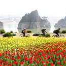 도담삼봉 자전거길 이미지