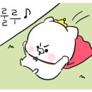 [퇴근길] 아로마테라피 이미지