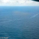anyone survived the crash of an Air France 이미지