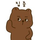 이모미용실 네이버블로그