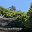 엄블라비안 이미지