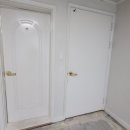 털보벽지 이미지