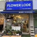 풍성의료재단 | 장안동 꽃집 플라워로데에서 꽃다발 선물 후기, 가성비 장한평 꽃집