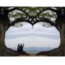 나성 하우스 | 장원막국수 코우코우 카페 성흥산성 사랑나무 백마강테마파크 연꽃이야기 한옥펜션 나성한옥 후기 1일차