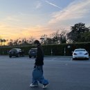 에코제니 이미지