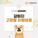 원주더봄동물의료센터 이미지