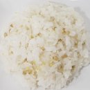 덕진초교병설유치원 이미지