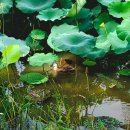 가을밤 달빛 작은음악회 | 가을밤 여유 남양주 궁집 야간개장