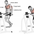오늘보다내일짐 이미지