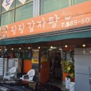 탕탕(TANG TANG) 이미지