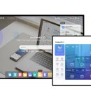 아마란스 이미지