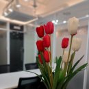 상주사 | 달서구 장기동 죽전동 개인 법인 비상주사무실 가격 경쟁력 있으며 안전/추천 수 많은 사무실 비즈온24