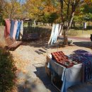 개밥주는여자 이미지