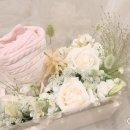 하젤플라워