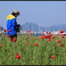 통영세계문화콘텐츠 공연 이미지