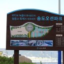 서수카써비스 | 부산 송도 횟집 푸짐함의 최고봉이다!