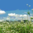 놀부마을 이미지