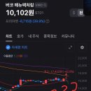 버코 티스토리