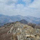 영 농장 이미지