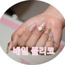 네일플리코