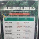 홍천펜션&글램핑캠프별이빛나는밤 | 25년 12월 홍천여행 (알파카월드, 캠프별이빛나는밤)