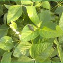 진정농장 이미지