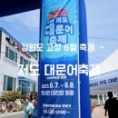 저도 대문어축제 | 강원도 고성 대진항 문어축제ㅣ제5회 저도 대문어축제