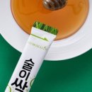 비비드보리