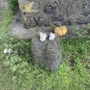 구좌 라파 김두성 할머니집 | 제주도에어비앤비 독채민박 구좌라파김두성할머니집