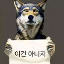 잘 팔리는 제품 사진 촬영 | [ 제 42회 DCA ] 대홍 공모전 파이널리스트 부터 입상까쥐,, 후기.zip ✨