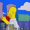 네;일기
