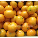 하람농장 이미지