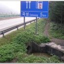 호남주유소 이미지