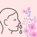 다비치안경답십리역점 이미지