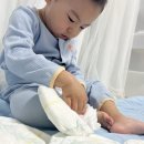 &lt;팸퍼스 터치 오브 네이처 팬티&gt; 보드러워 자극 걱정 없는 팬티 기저귀 사용 후기