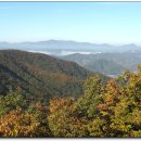 210056 Daum카페