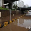 간선-81 이미지