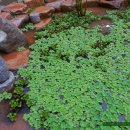 힐링황토집 이미지