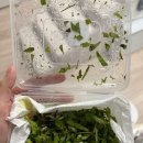 충식농장 이미지